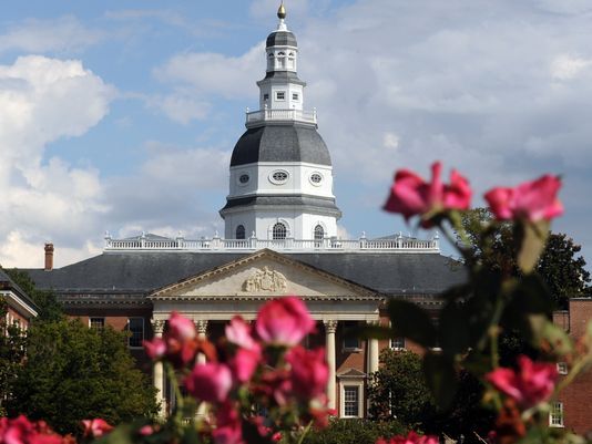 Flowers in front of building